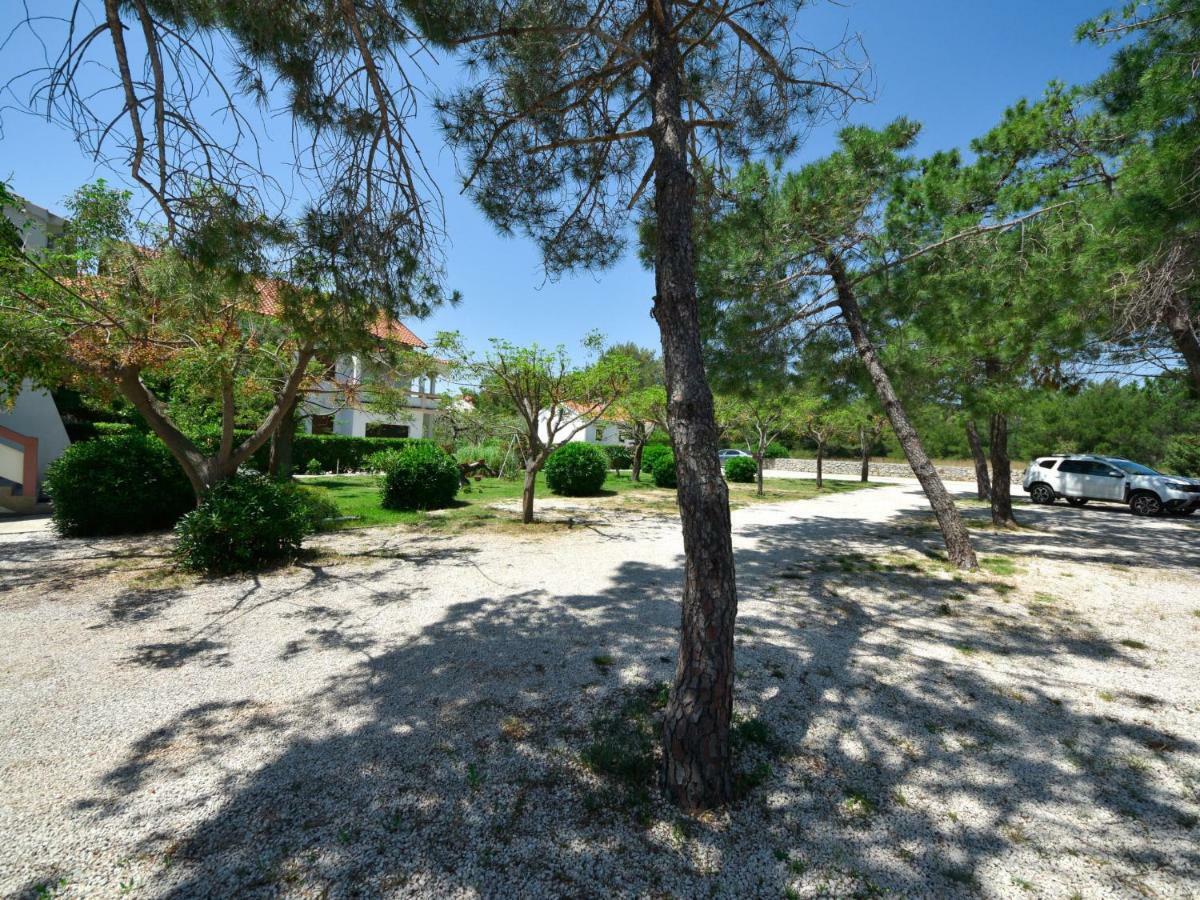 Holiday Home Nikolina Vir Dış mekan fotoğraf